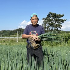 무안 유기농 흙대파