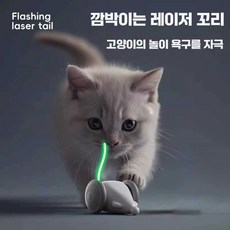 옴박 고양이자동장난감 꼬리잡기 캐치미이프유캔, 1개, 스마트 마우스 장난감