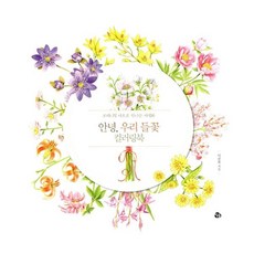 dvd사이즈케이스