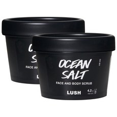 LUSH 러쉬 오션 솔트 페이스 바디 스크럽 120gx2개 Lush Ocean Salt Face And Body Scrub