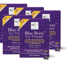 뉴 노르딕 블루 베리 아이 비타민 루테인 아연 NEW NORDIC Blue Berry Eye Vitamin, 5개, 60정