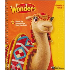 wonders3.1