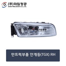 만트럭부품 안개등(TGX) RH/라임정공, 1개
