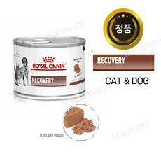로얄캐닌카디악캔