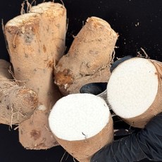 24년 안동마 햇마 장마 못난이 실속 4kg, 1개
