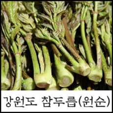 [봄나물 4종] 자연산 참두릅(원순) 곰취 줄기명이 눈개승마 강원도 노지 당일채취 산나물 합배송, 1개