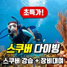 [50%이벤트] PADI 오픈워터 스쿠버다이빙 자격증