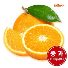 오렌지 중과 30개입(190g내외) 발렌시아, 단품