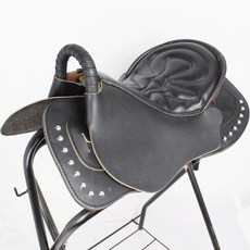 스포츠리터러시