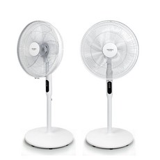 옙r1