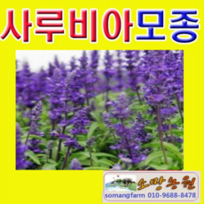 4a7d06a31094c7d1a0c09461d34a7170ba0819b56821837270355becfdbc.png