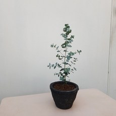 50f028aa8fe51b356cc379e44d37d1d9317ff693f835ab02c35d79ba0a1e.jpg