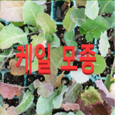 4d25a4ab5415ccc299e9f7892521b92e52c172e67691bf3f22bf4150c3ae.png