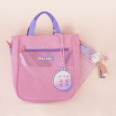 몰랑이보조가방