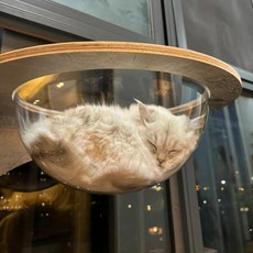 캡슐 고양이집 여름 숨숨집 S 6파운드 받침 37CM 얼음 겨울 폐쇄형, 14 아크릴 반원만 [30cm 캡슐 내경 30cm], 표준, 1개