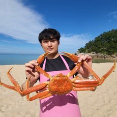 러시아 마가단 박달 자숙 대게 스노우 크랩 3kg 4kg 녹진한 내장 맛 최상급 수율, 마가단 박달대게 4kg (4-5미 내외), 1개