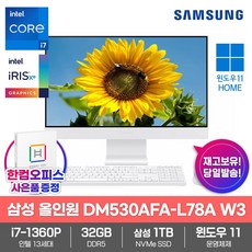 삼성전자 일체형PC 올인원 DM530AFA-L78A W3 32GB램/SSD1TB/13세대 i7/Win11/한컴오피스/데스크탑