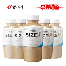 로라메르시에사이즈업25주년