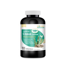 로얄캐네디언부스터