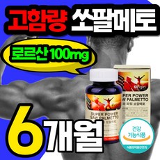 v파워더블맥스