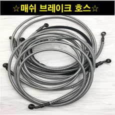 호메시스