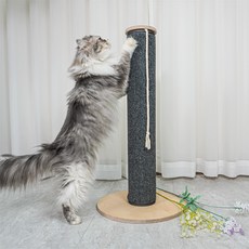 캣츄얼