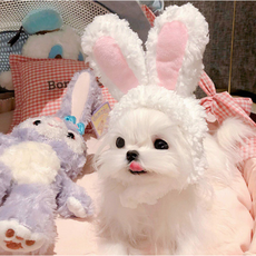 1+1 현이드림 강아지 양털 모자 고양이 귀모자 토끼 머리띠 겨울 털모자, 화이트, 핑크