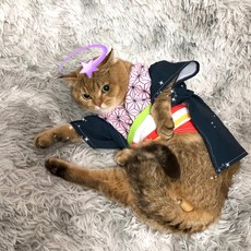 강아지 고양이 귀멸의칼날 코스튬 옷 9종 애완동물 탄지로 네즈코, 6번