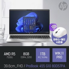 HP ProBook 455 G10 80D57PA / 주식 문서작업 사무용 인강용 [ 무선마우스 증정], WIN11 PRO, 8GB, 1TB, 실버