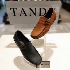 탠디보트