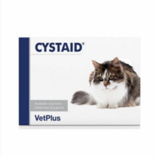  뱃플러스 시스테이드 플러스 고양이 영양보조제, N아세틸D글루코사민, 4개 