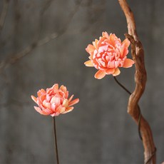 양희성작품가격