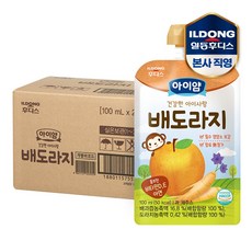 아이얌 건강한 아이사랑 주스 배도라지 100mlx40개, 혼합맛(배/도라지), 100ml, 40개