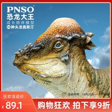 파키케팔로사우루스피규어