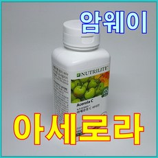 암웨이l400