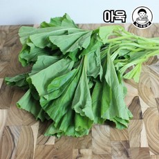 당일작업 국내산 아욱, 4kg, 1개