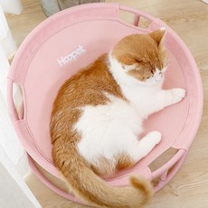 펫후