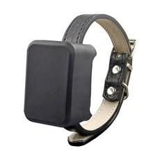 펫gps
