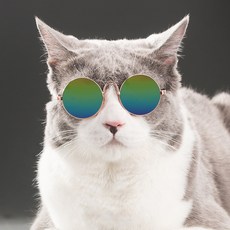 펫데일리 고양이 강아지 안경 냥글라스 도글라스 선글라스, 그린, 1개