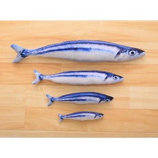 오징어 물고기 모양 고양이 선물 귀여운 놀이 애완 동물 민트 봉, 1개, B.20cm