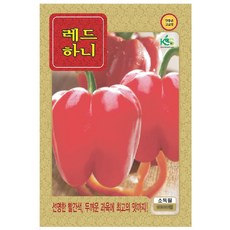파프리카농장