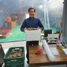 하늘마수확시기