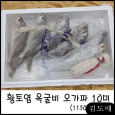 파굴비