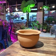 e8686299091f3da585e2d67a60e2242cbd23dae42469d2e61633dec895d3.jpg