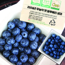 국산 무농약 햇블루베리 영동 생블루베리 생과 250g 500g 1kg, 소과10mm이하, 1개