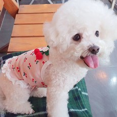 알알 체리체리 나시 + 러블리핀, 핑크