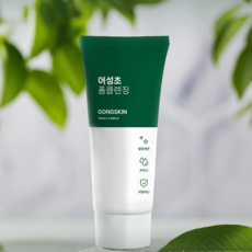 [1+1]공스킨 어성초 폼클렌징, 2개, 100ml