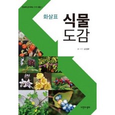 화살표 식물도감(한눈에 알아보는 우리 생물 2), 김성환, 상세페이지 참조, 자연과생태