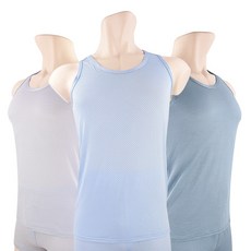 디노바시천연인견