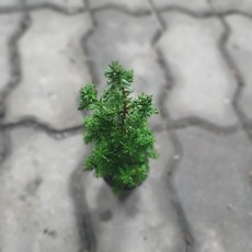 ab97dca84d08fa3032efcad25c4471cbd4c341aa9cb1fcafdc3f28ae1e46.jpg
